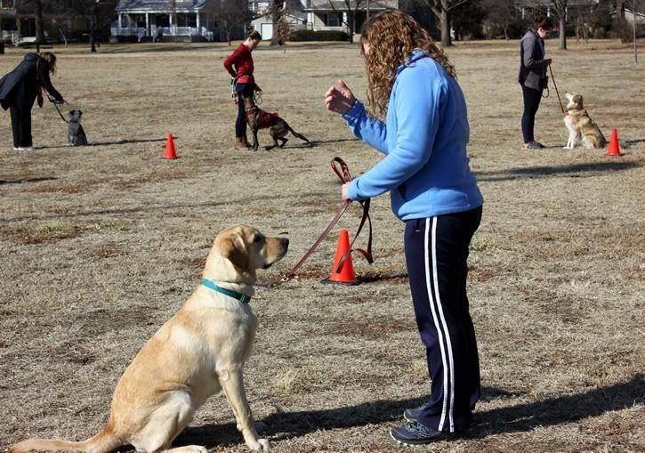 Dog training class Manhattan Kansas