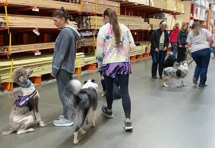 Dog training class pack walk